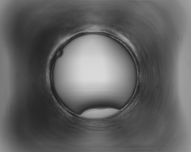 X0000100331464200806051153