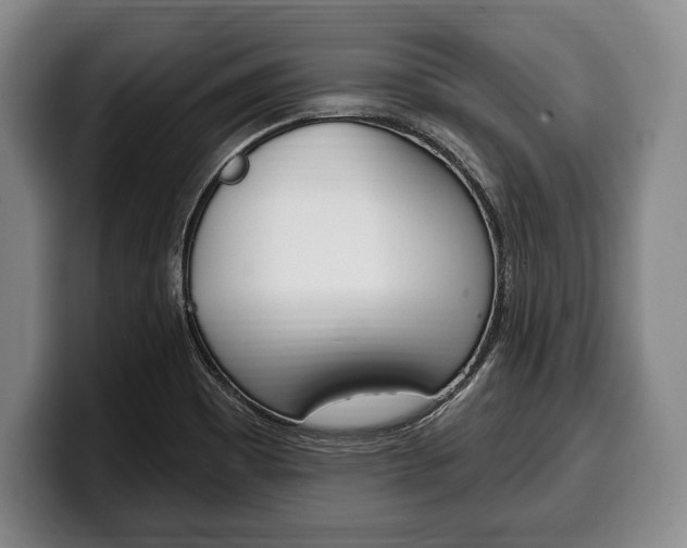 X0000100331465200806051153