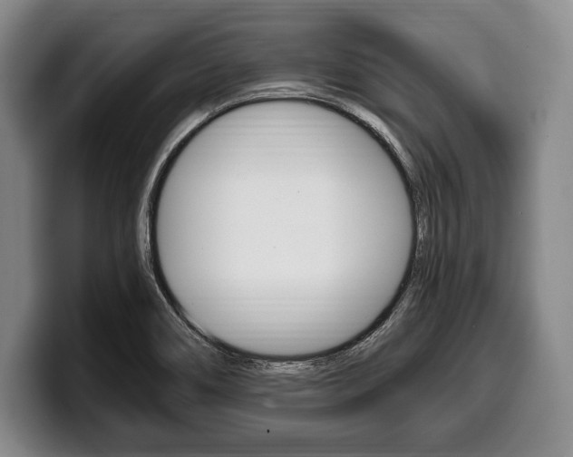 X0000100331466200806051153