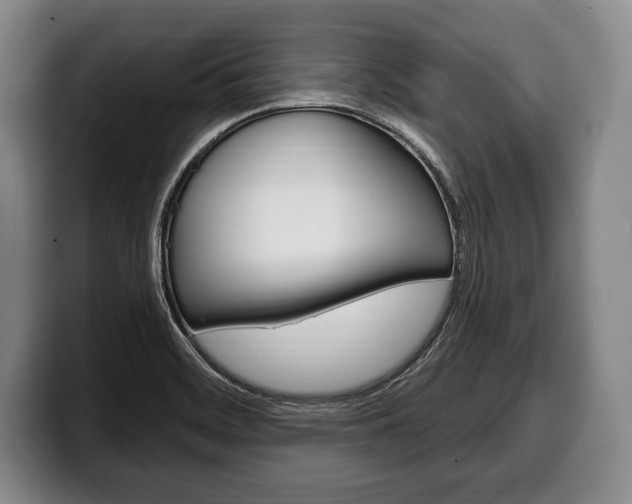 X0000100331468200806051153
