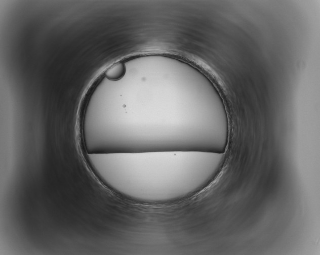 X0000100331469200806051153