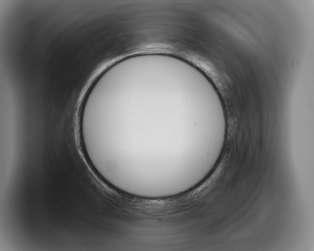 X0000100331470200806051153
