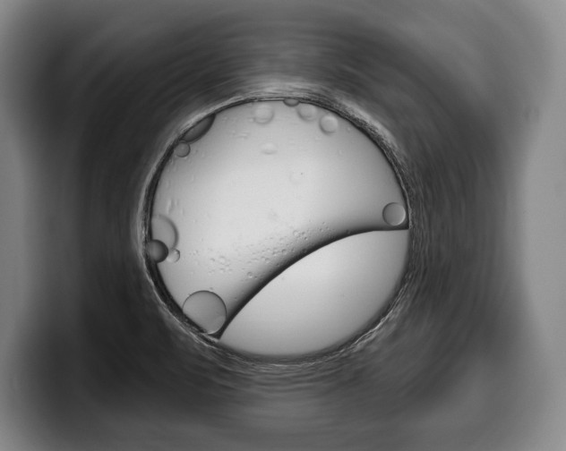 X0000100331471200806051153