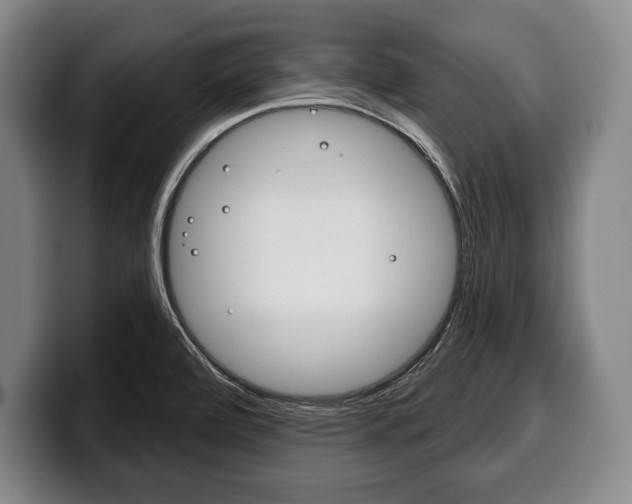 X0000100331472200806051153