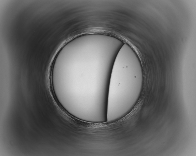 X0000100331475200806051153
