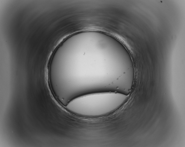 X0000100331476200806051153