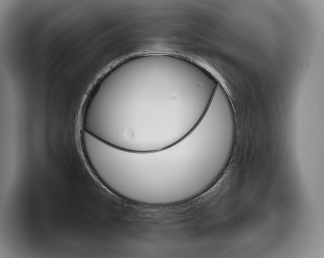 X0000100331477200806051153