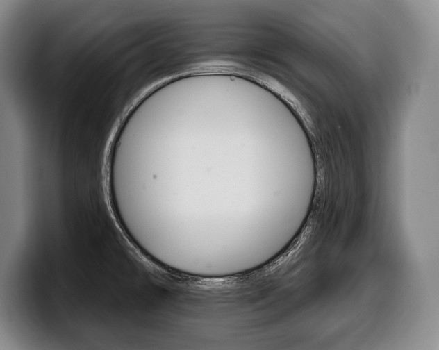X0000100331478200806051153