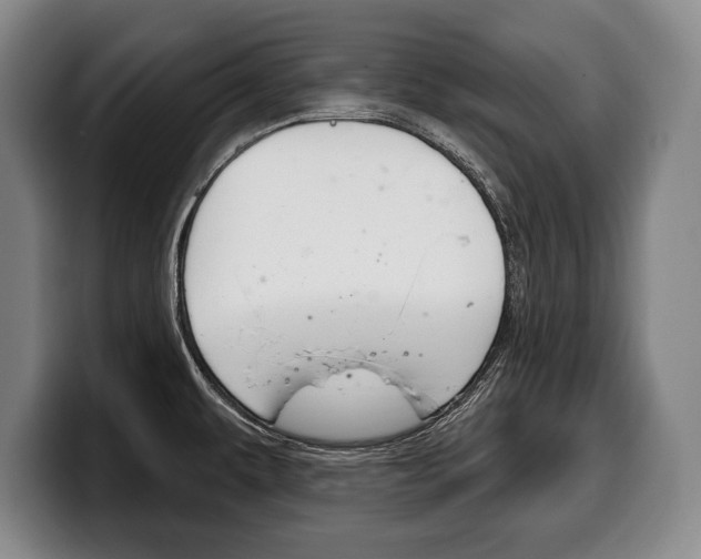 X0000100331479200806051153