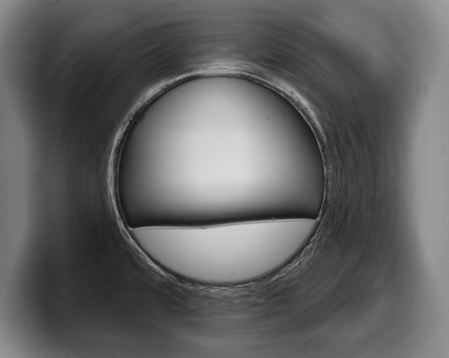 X0000100331480200806051153