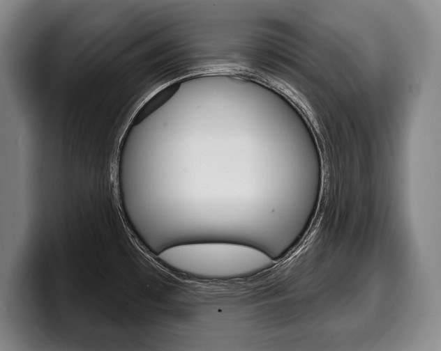 X0000100331481200806051153