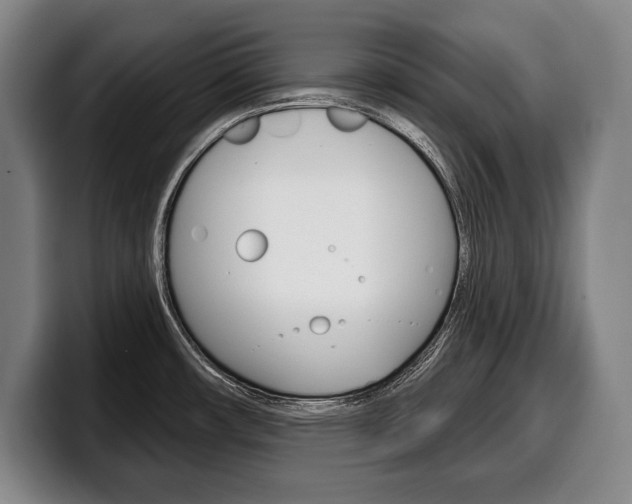 X0000100331482200806051153