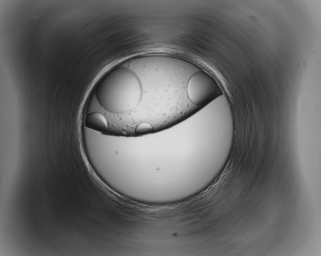 X0000100331483200806051153