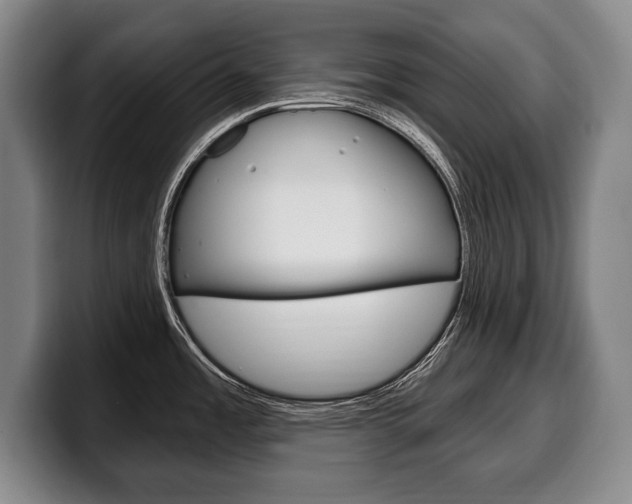 X0000100331485200806051153