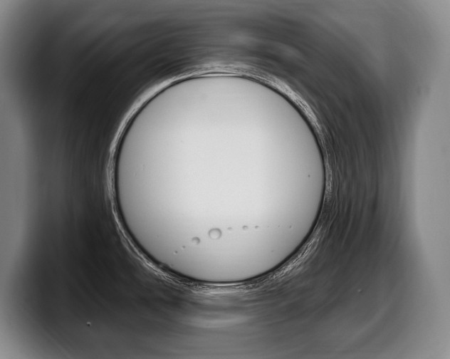 X0000100331486200806051153