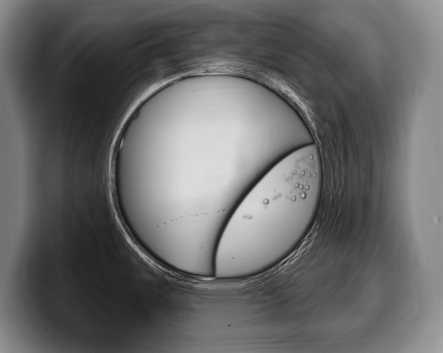 X0000100331487200806051153