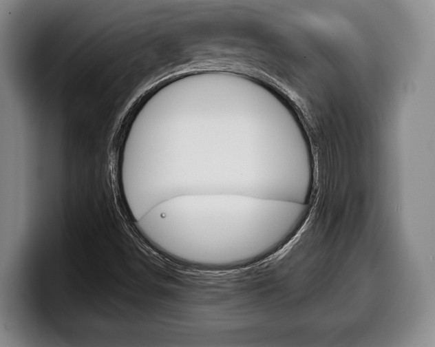X0000100331498200806051153