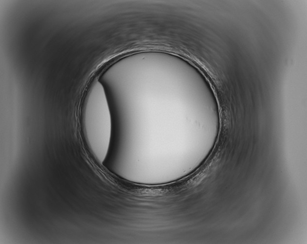 X0000100331499200806051153