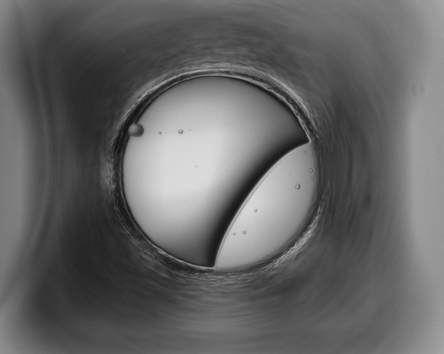 X0000100331501200806051153