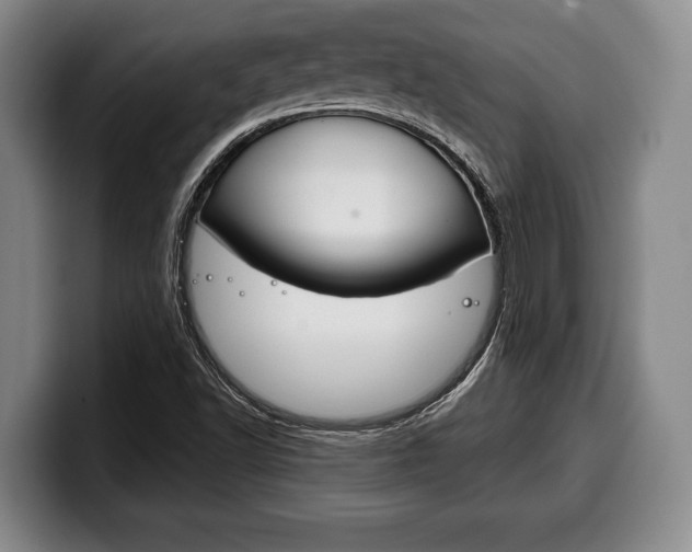 X0000100331502200806051153