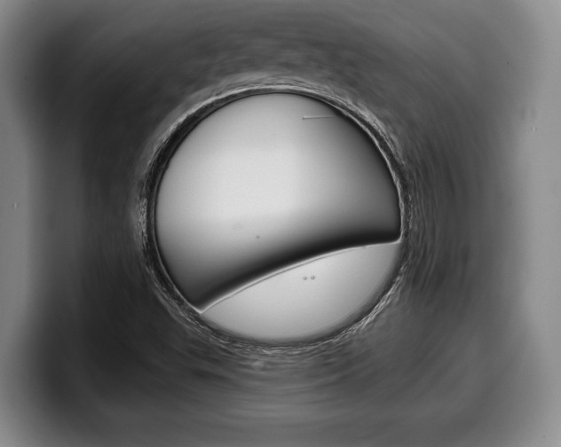X0000100331503200806051153