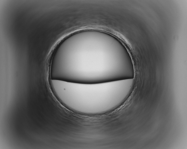 X0000100331504200806051153