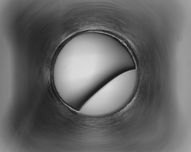 X0000100331505200806051153