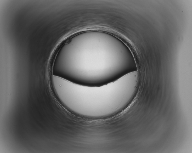 X0000100331506200806051153