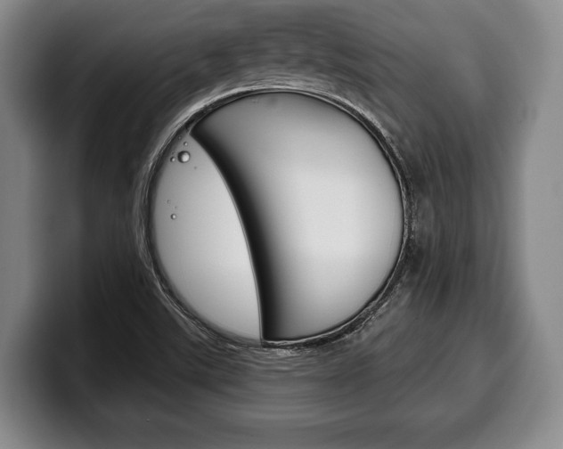 X0000100331507200806051153