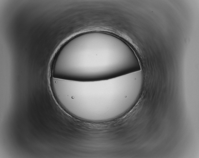 X0000100331508200806051153