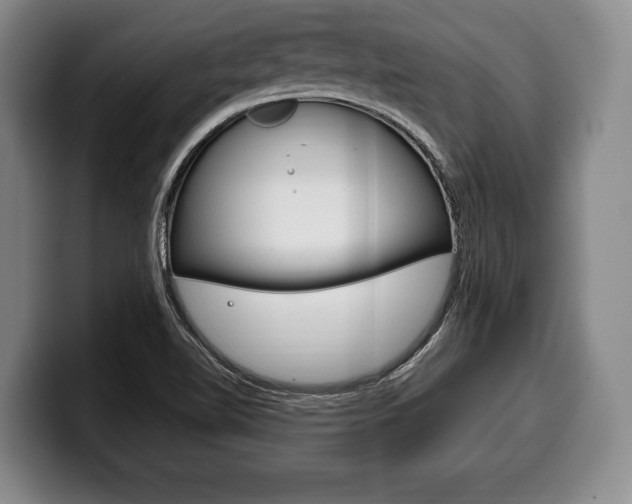 X0000100331510200806051153