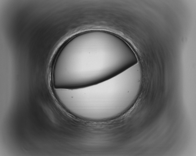 X0000100331511200806051153