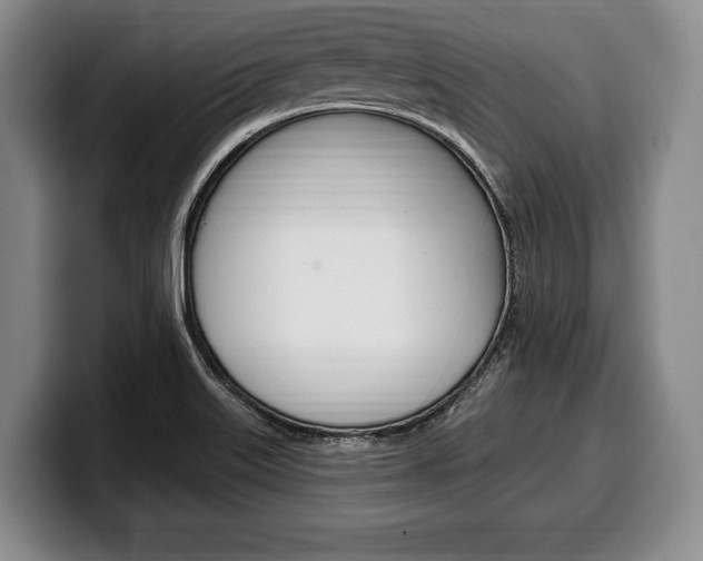 X0000100331515200806051153