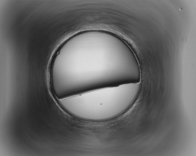 X0000100331517200806051153