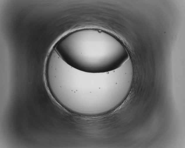 X0000100331518200806051153