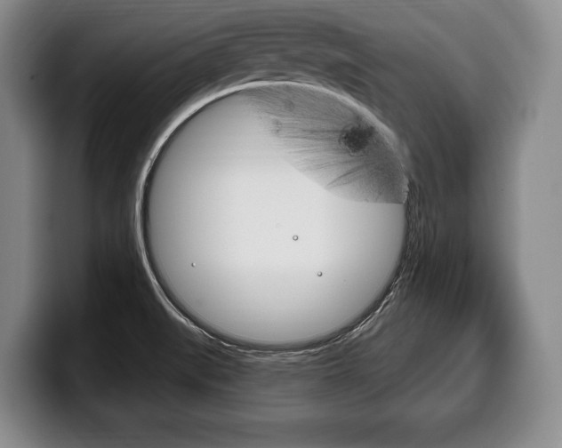 X0000100331519200806051153