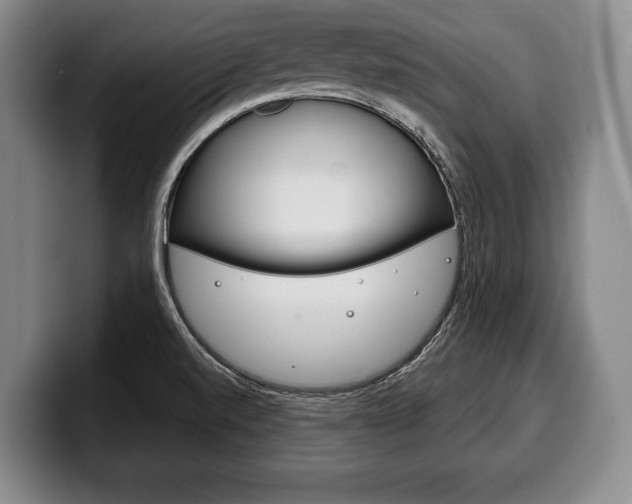 X0000100331520200806051153