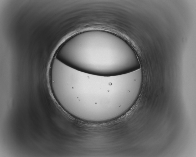 X0000100331522200806051153
