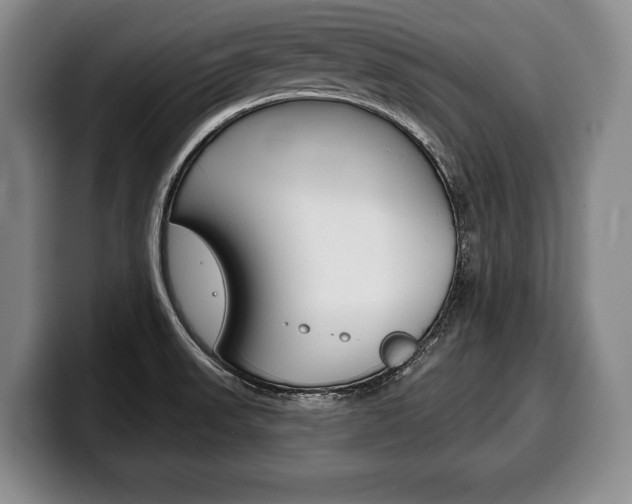 X0000100331523200806051153