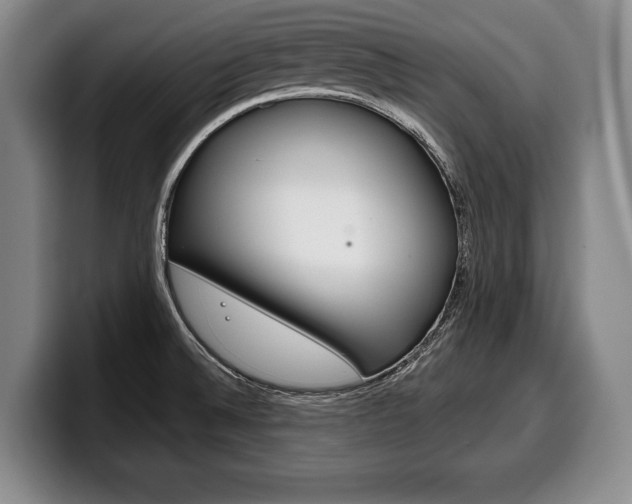 X0000100331524200806051153