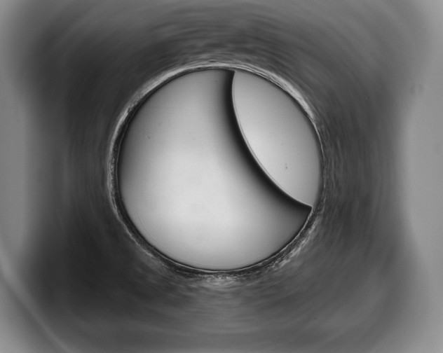 X0000100331525200806051153