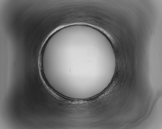 X0000100331526200806051153