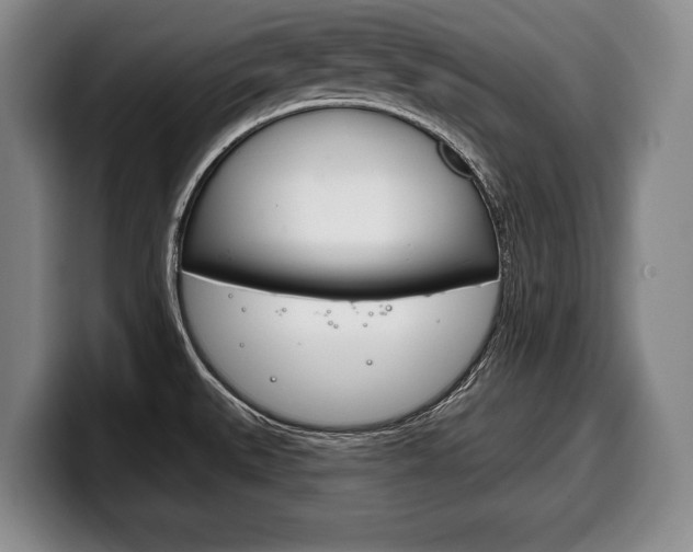 X0000100331527200806051153