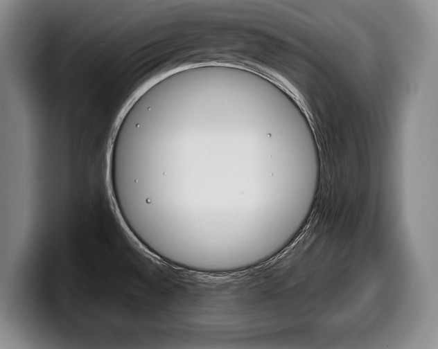 X0000100331528200806051153