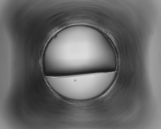 X0000100331529200806051153