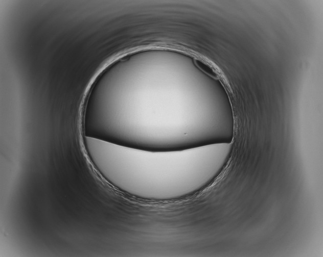 X0000100331530200806051153