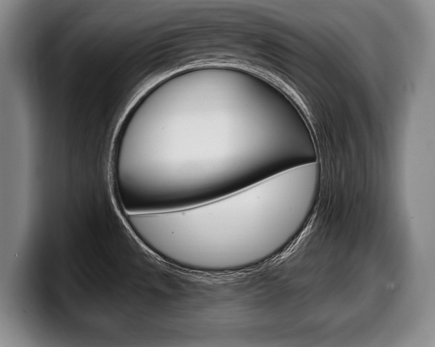 X0000100331533200806051153