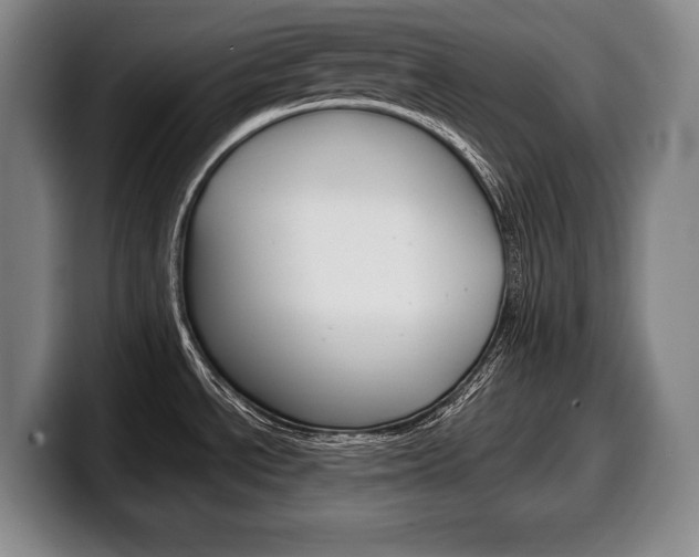 X0000100331534200806051153