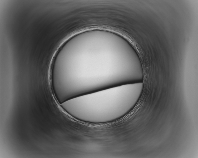 X0000100331535200806051153