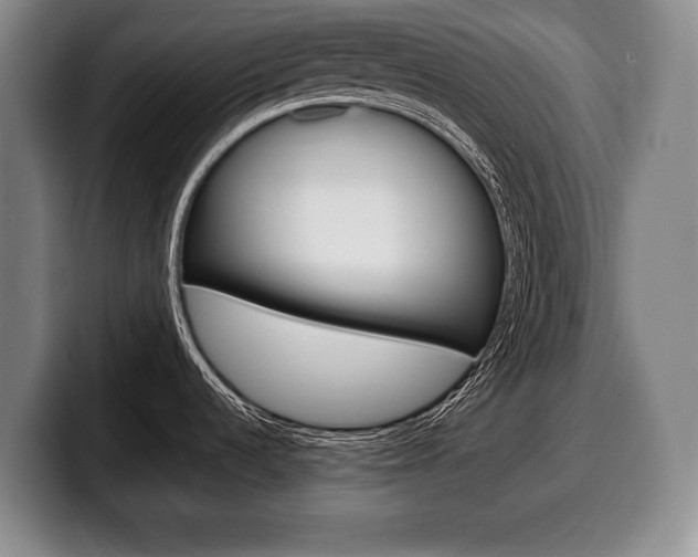X0000100331536200806051153